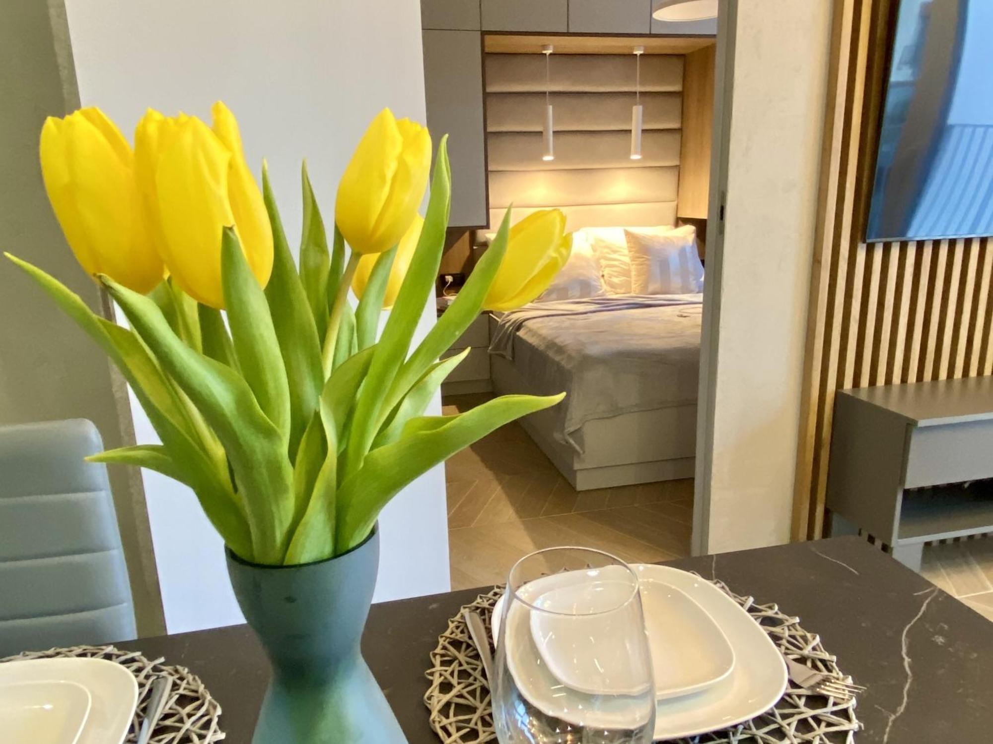 Grey House + Free Parking Apartment Wroclaw Luaran gambar